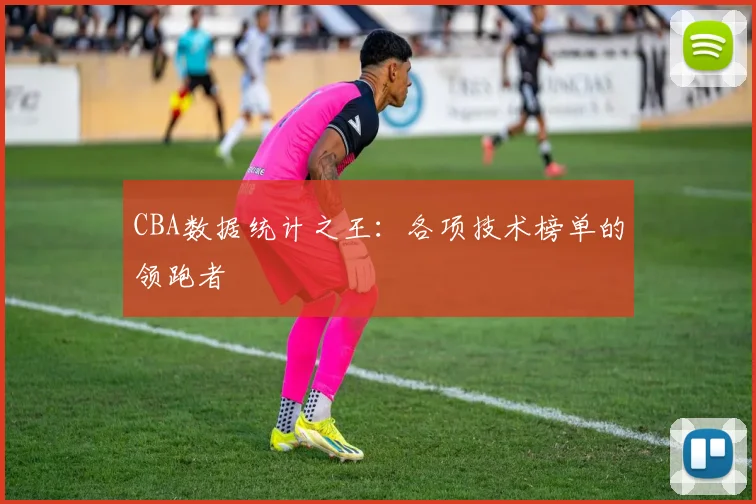 CBA数据统计之王：各项技术榜单的领跑者