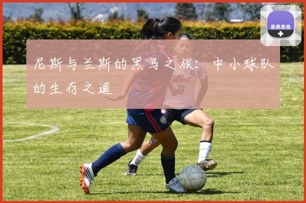 尼斯与兰斯的黑马之旅:中小球队的生存之道